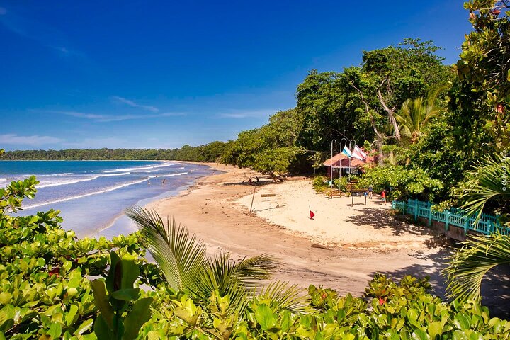 Ganztägige Schnorcheltour in Cahuita, Faultier-Schutzgebiet von Puerto Viejo de Limón