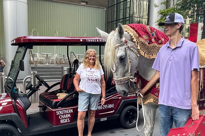 Charlottes ultimate Southern Charm Historical City Cart Tour