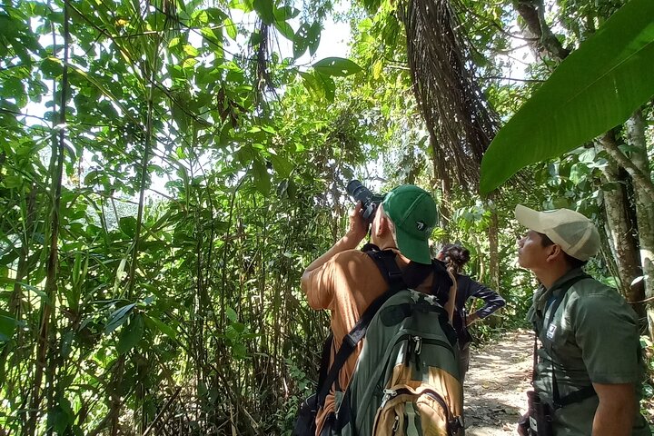 Amazon Jungle & Baños Adventure City: 4 dias de natureza e vida selvagem