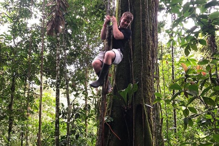 Amazon Jungle & Baños Adventure City: 4 dias de natureza e vida selvagem