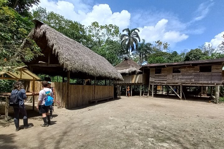 Amazon Jungle & Baños Adventure City: 4 dias de natureza e vida selvagem