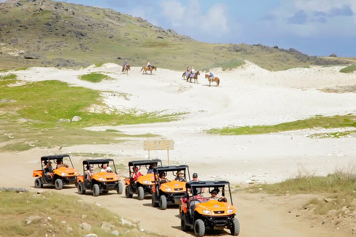 Aruba UTV Adventure: Animal Garden, North Coast & Andicuri Beach