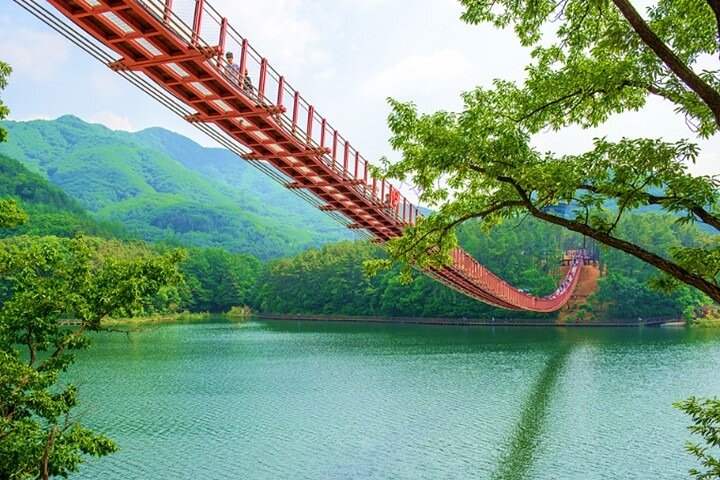 Private DMZ Insider Tour: Meet a NK Defector, 3rd Tunnel & Bridge
