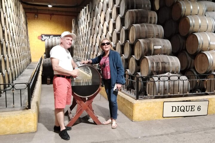 José Cuervo Tequila Tour & Agave Champs au départ de Guadalajara