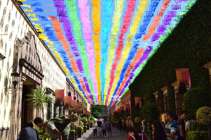 José Cuervo Tequila Tour & Agave Champs au départ de Guadalajara