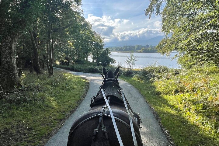 Tour guidato in carrozza di 1 ora nel parco nazionale di Killarney