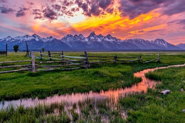 Grand Teton Wildlife Safari em um veículo fechado ou ao ar livre (dependendo da época)