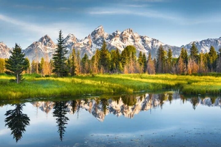 Grand Teton Wildlife Safari em um veículo fechado ou ao ar livre (dependendo da época)