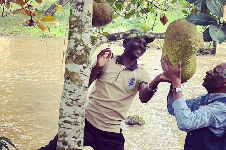 Den beste 1Day Jinja Tour & kilde til Nilen River Experience