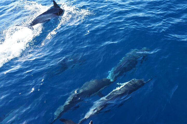 Journée complète Voilier - Belle journée sur l'Océan Atlantique
