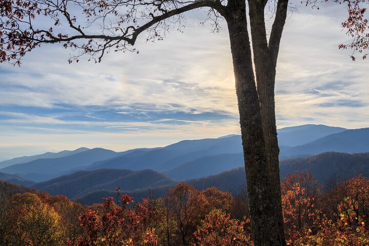 Zelfgeleide autorit door Great Smoky Mountains National Park