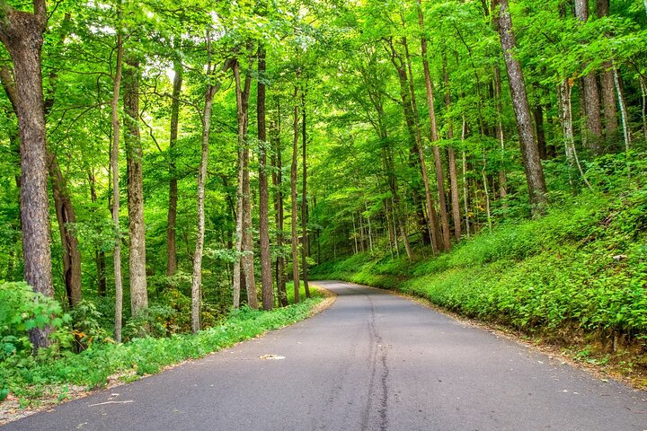 Zelfgeleide autorit door Great Smoky Mountains National Park