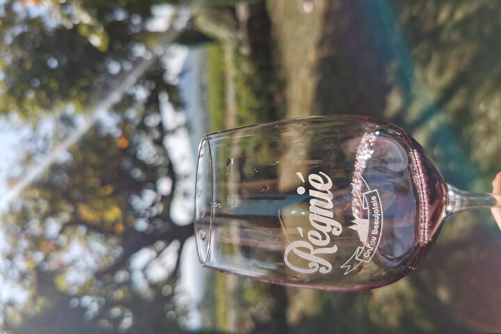 Beaujolais vin tur fra Lyon en halv dag