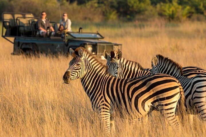 Ganztägiger Isimangaliso Wetlands Park – Krokodile, Nilpferde und Wild in Durban