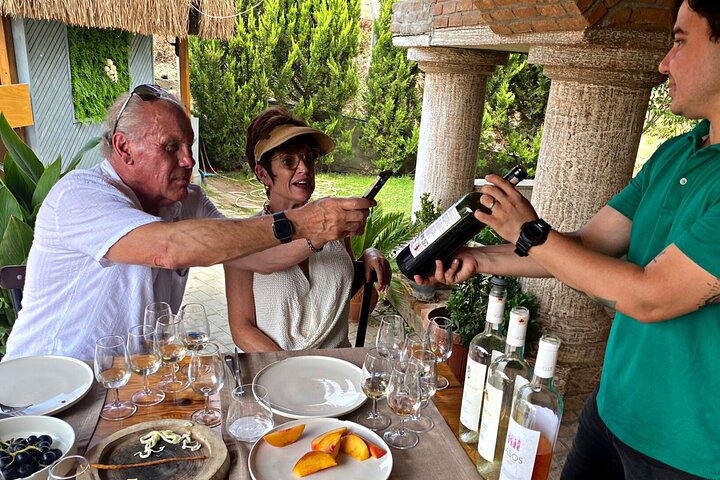 Tour privato di Efeso e degustazione di vini presso Boutique Winery & Lunch