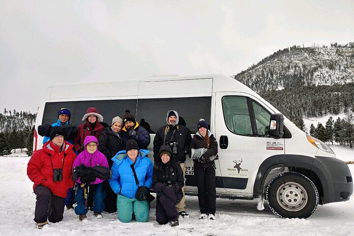 Grand Teton Wildlife Safari em um veículo fechado ou ao ar livre (dependendo da época)