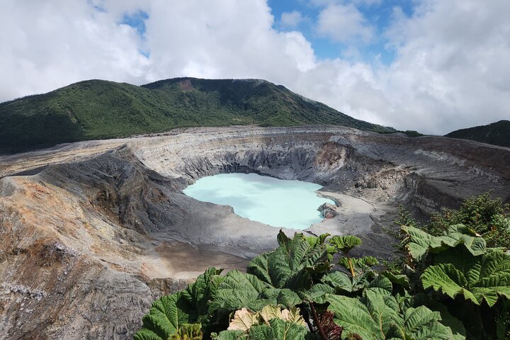 Expérience d'une journée complète sur le volcan Poas, les jardins de la cascade de La Paz et la plantation de café