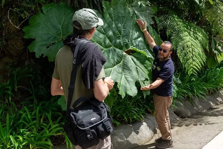 Expérience d'une journée complète sur le volcan Poas, les jardins de la cascade de La Paz et la plantation de café