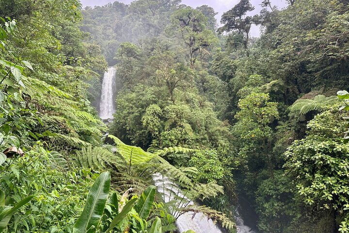 Expérience d'une journée complète sur le volcan Poas, les jardins de la cascade de La Paz et la plantation de café
