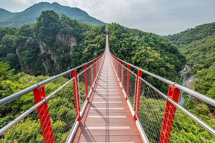 Private DMZ Insider Tour: Meet a NK Defector, 3rd Tunnel & Bridge