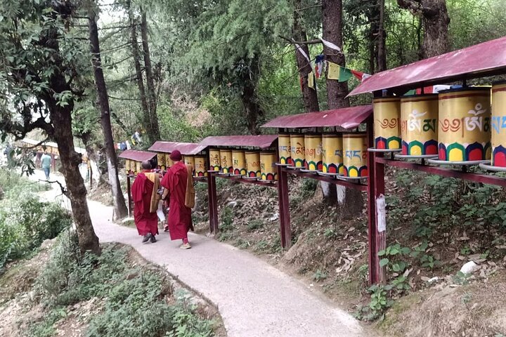 Tour guidato, mini Tibet Mcleodganj dell'India - Cultura