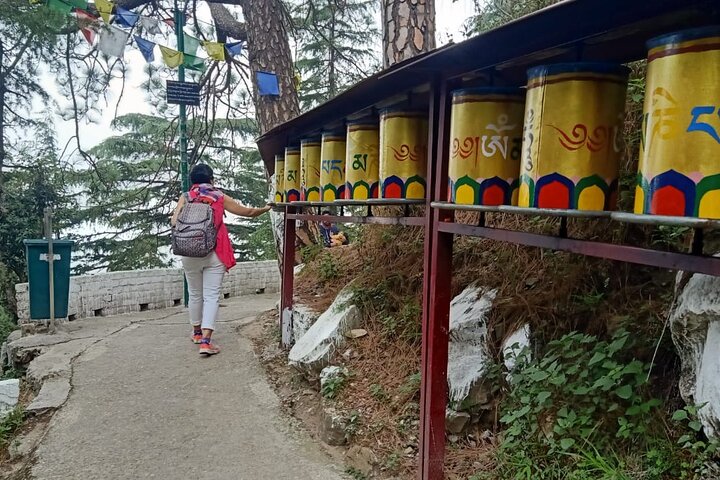 Tour guidato, mini Tibet Mcleodganj dell'India - Cultura