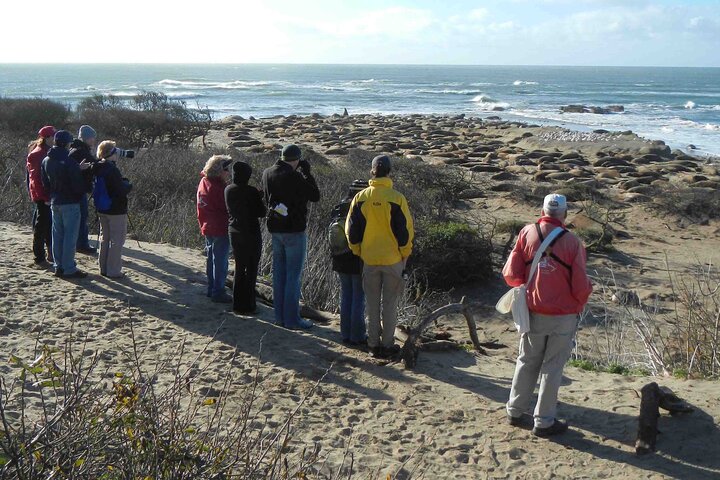 Tour audio guidato in auto da guidare autonomamente Santa Maria–Monterey Big Sur