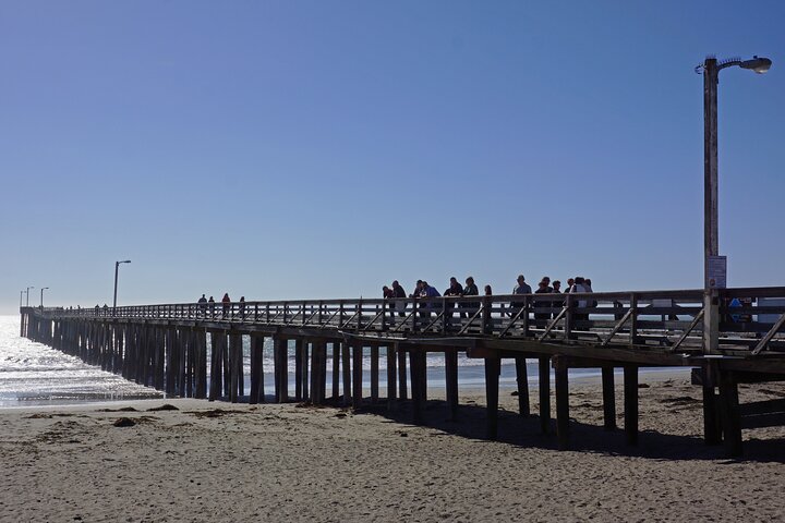 Tour audio guidato in auto da guidare autonomamente Santa Maria–Monterey Big Sur