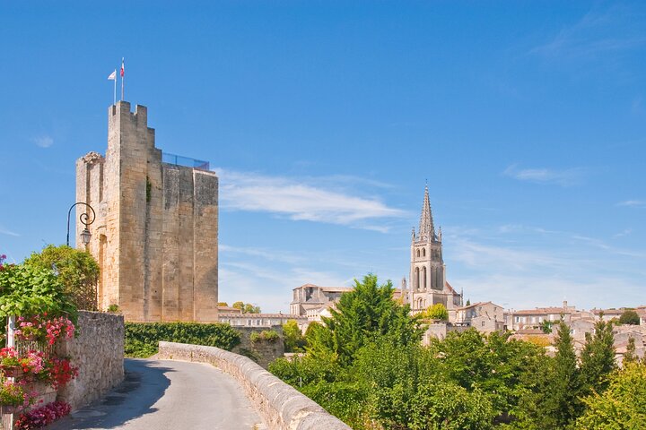 Saint Emilion Excursão de meio dia com degustação de vinhos e visita à vinícola a partir de Bordeaux