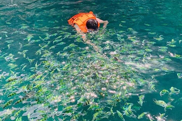 ヤオ ノイ島とヤオ ヤイ島発ホン島シュノーケリング ツアー