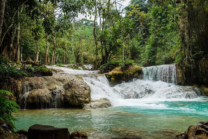 Private Tour: Pak Ou Cave and Kuang Si Waterfall Tour from Luang Prabang