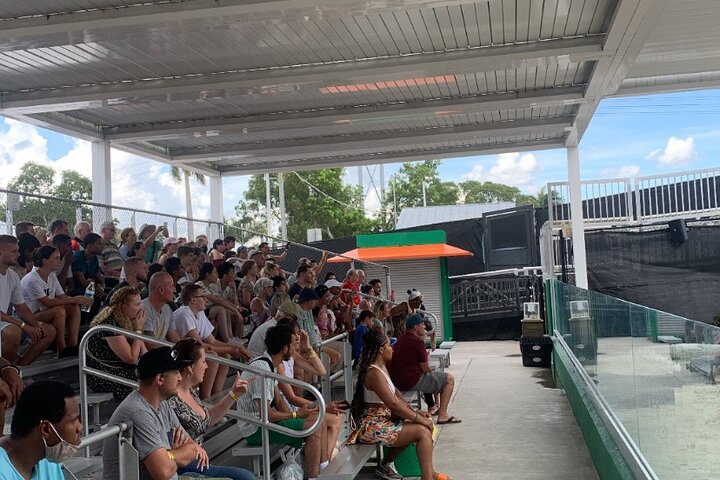 Everglades Small-Group Tour from Miami with Transportation