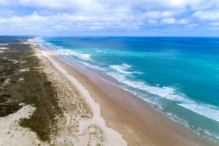 Tour dell'estremo nord della Nuova Zelanda con 90 miglia di spiaggia e Capo Reinga da Paihia