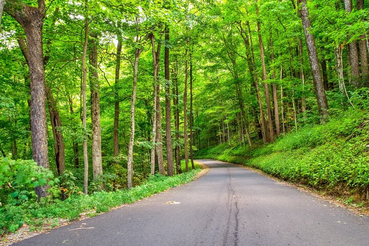Passeios autoguiados pelas Great Smoky Mountains e Cades Cove