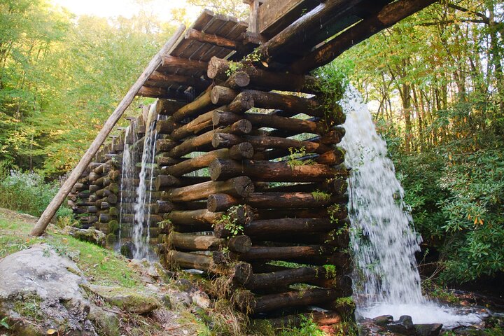 Passeios autoguiados pelas Great Smoky Mountains e Cades Cove
