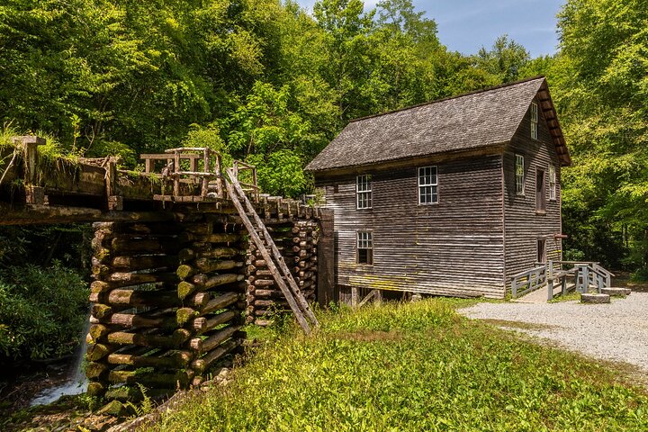 Passeios autoguiados pelas Great Smoky Mountains e Cades Cove