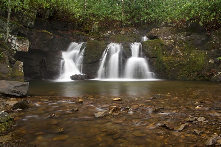 Passeios autoguiados pelas Great Smoky Mountains e Cades Cove