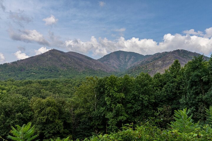 Passeios autoguiados pelas Great Smoky Mountains e Cades Cove