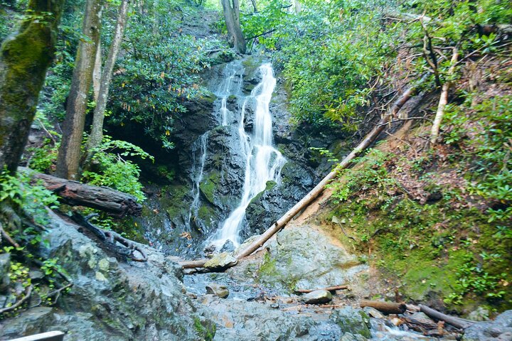 Passeios autoguiados pelas Great Smoky Mountains e Cades Cove