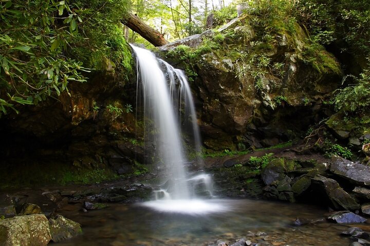 Passeios autoguiados pelas Great Smoky Mountains e Cades Cove