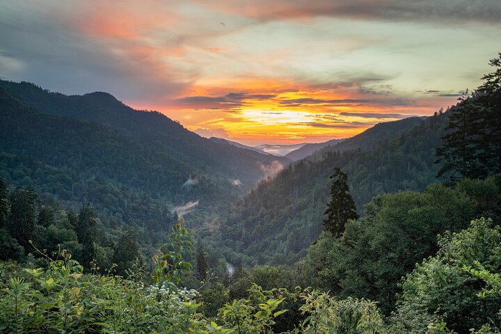 Passeios autoguiados pelas Great Smoky Mountains e Cades Cove