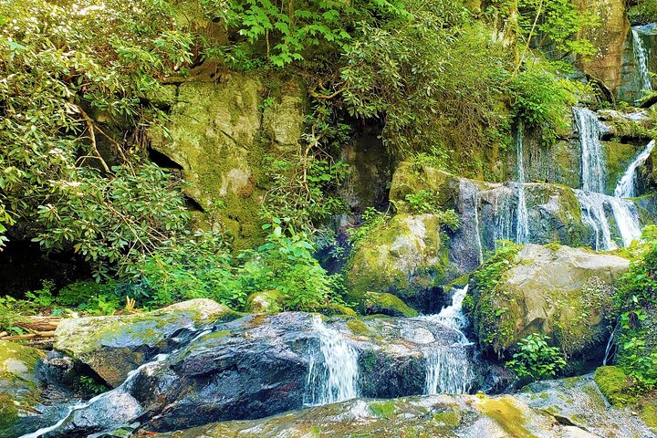Passeios autoguiados pelas Great Smoky Mountains e Cades Cove