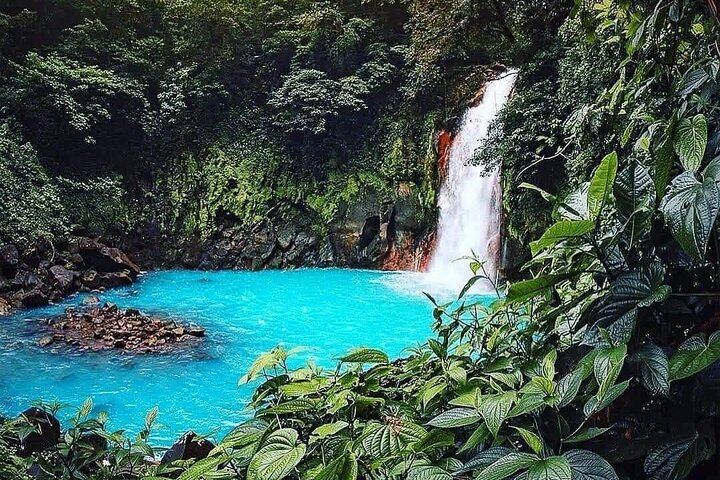 RIO CELESTE FLOD: Tubing+Regnskog+Djurliv+Vattenfall+Active Volcano (PRIVAT)