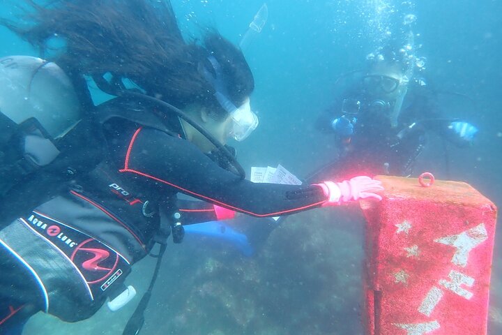 Genießen Sie das Tauchen auf der Izu-Halbinsel für das Zertifikat Diver