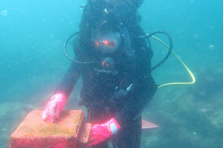 Genießen Sie das Tauchen auf der Izu-Halbinsel für das Zertifikat Diver