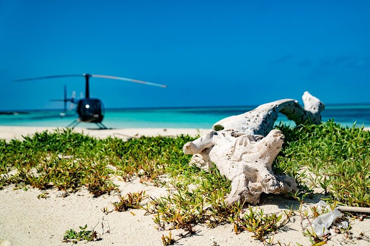 Tour privato in elicottero di Boracay con prelievo dall'hotel