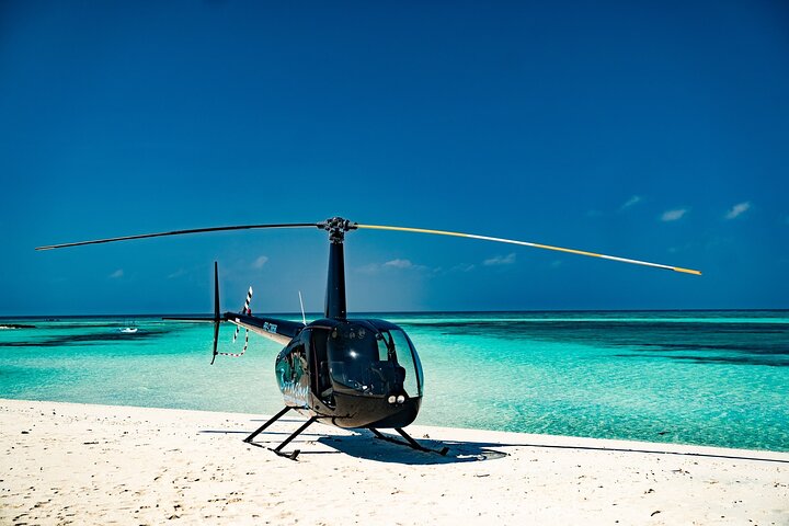Tour privato in elicottero di Boracay con prelievo dall'hotel