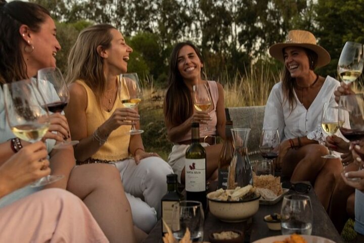 Visita y degustacion en el Enemigo + 2 Bodegas con almuerzo