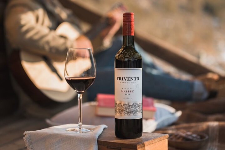 Visita y degustacion en el Enemigo + 2 Bodegas con almuerzo