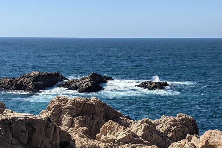 Excursion privée d'une journée à Monterey, Carmel et Big Sur au départ de San Francisco